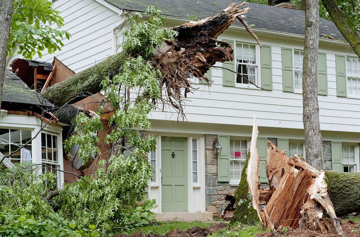 A fallen tree damages a house.